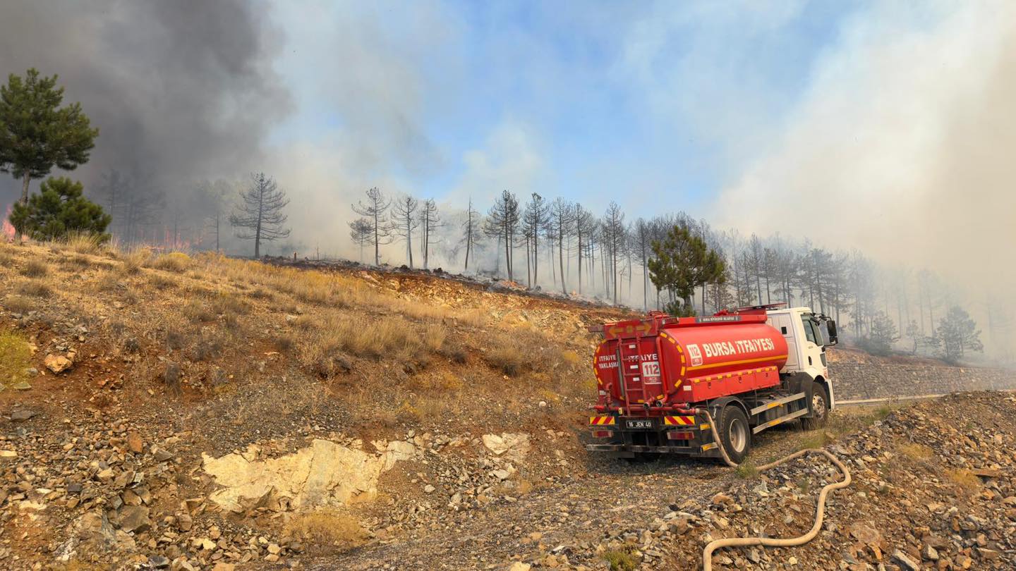 523949691 1179221330907545 5836799045066058394 N