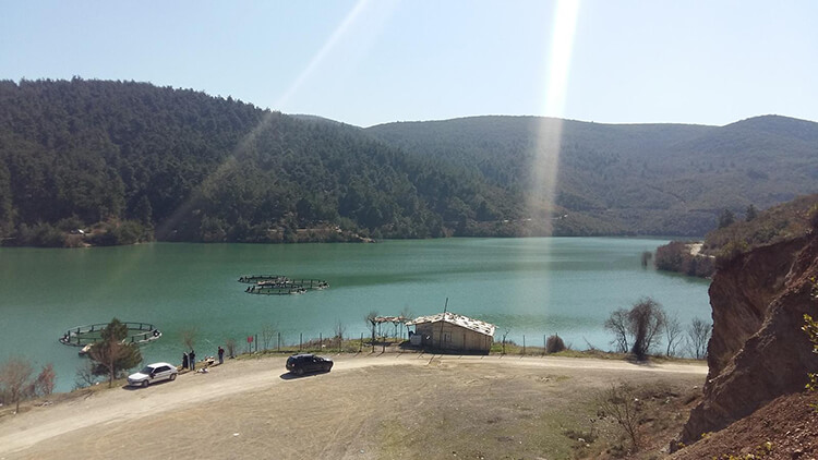 Kayapa Goleti Kamp Alani