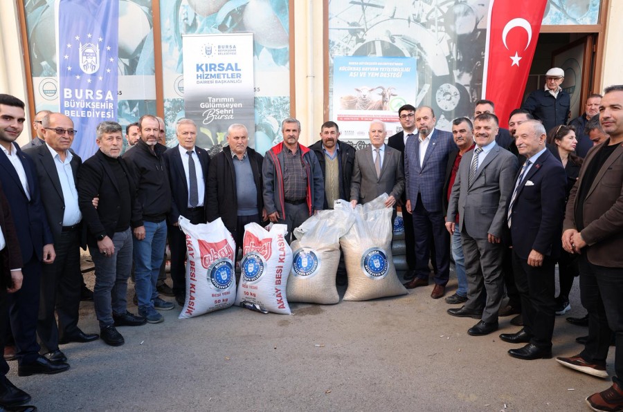 36356 Mty5Mwiyog 6 691B2A25Ccb57