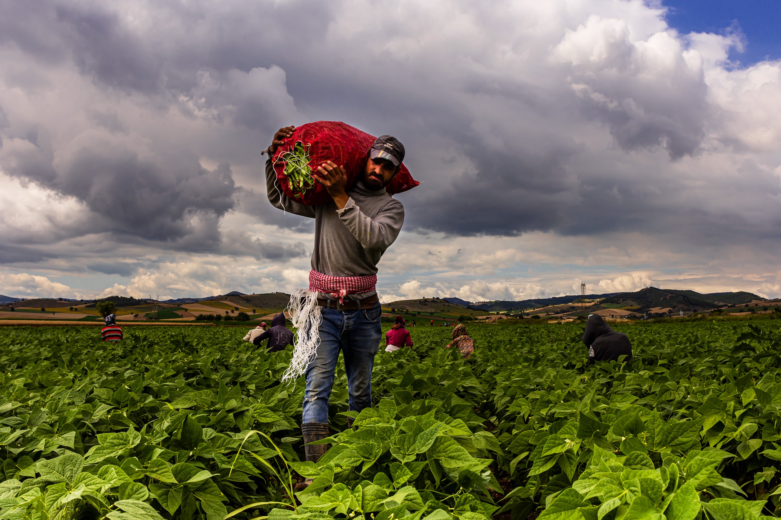 0Db24A37 6Ee7 4A57 Af5B 6D4F4C88068C