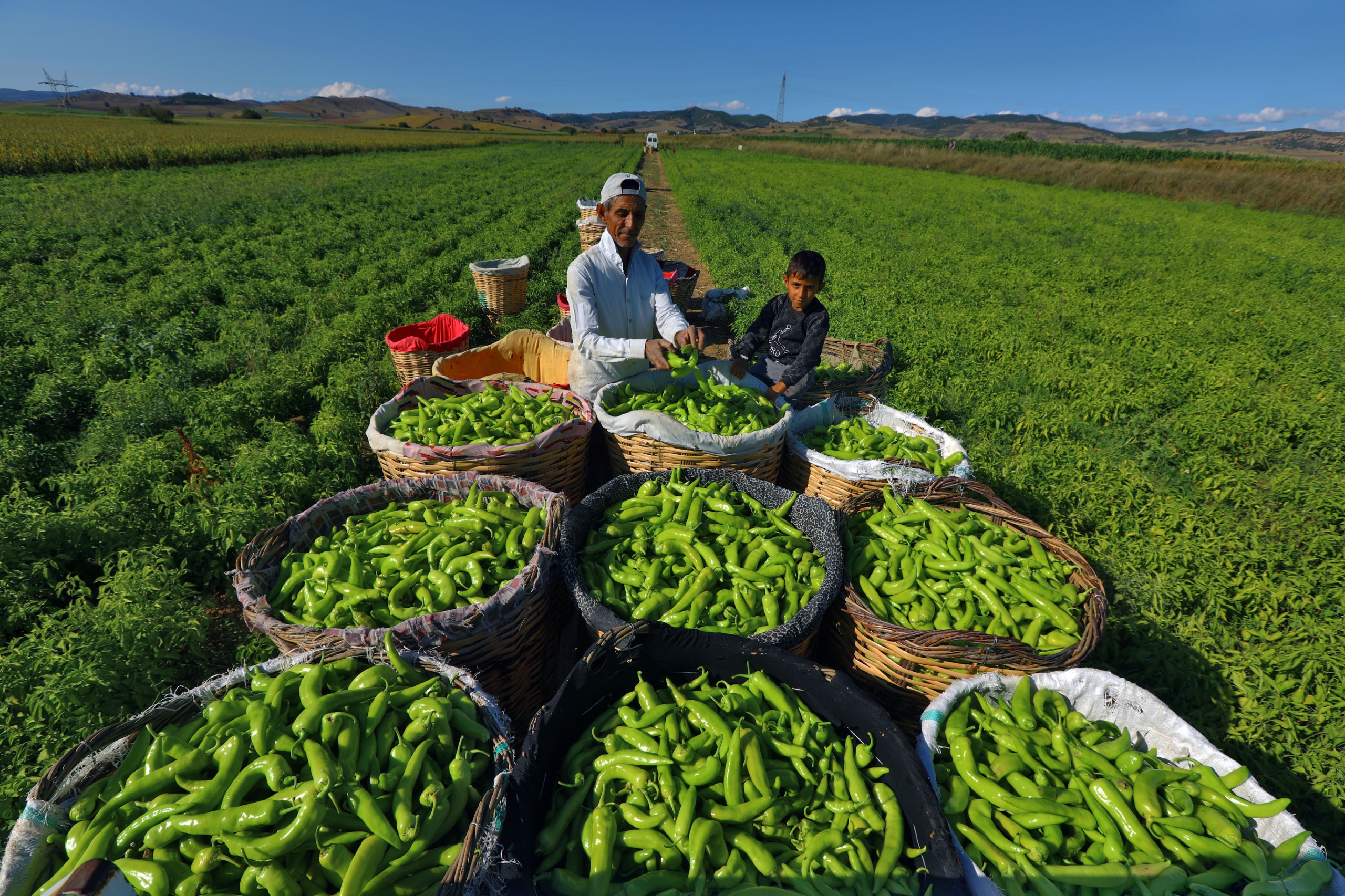 D46B9838 51C8 41Cc 9B2C 79A68E5Eaa1D