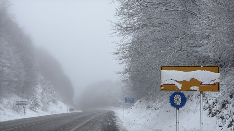 Aw672809 02 1774948030 421 X750