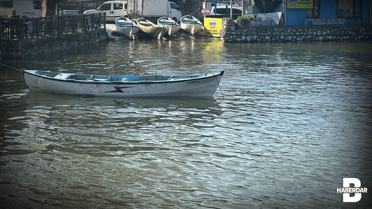 Bursa'da Balıkçılar Bu Haberi Bekliyordu (7)