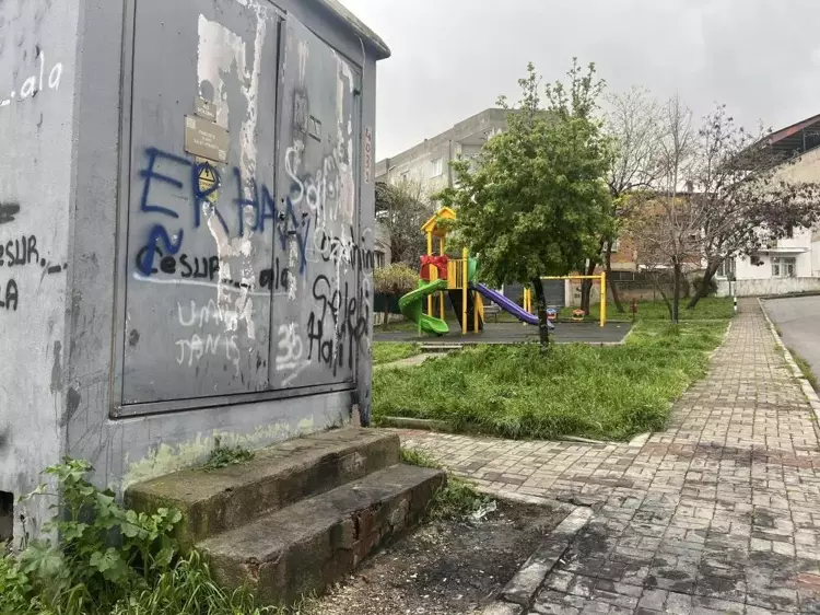 69Cfb1Eb0E055A7B3643B73E