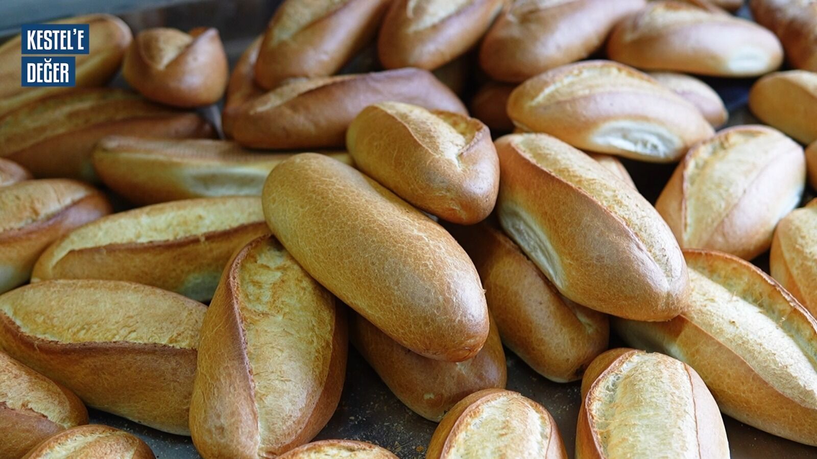 816Db0Cf 3Fec 45Ad 839A 00F3A3D1B4A8