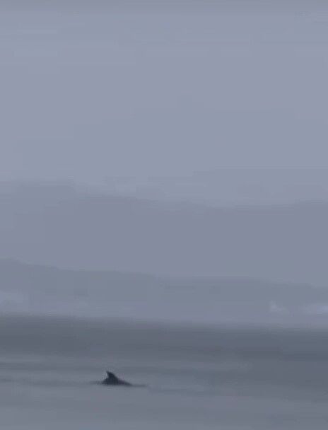 A W697578 01