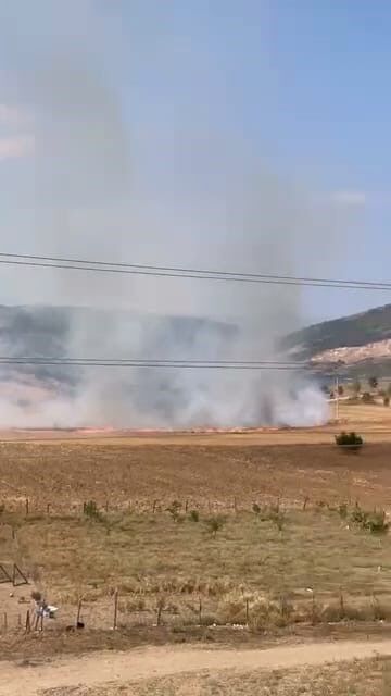 Bursa'da tarlalık alanı ateşe veren şüpheli yakalandı