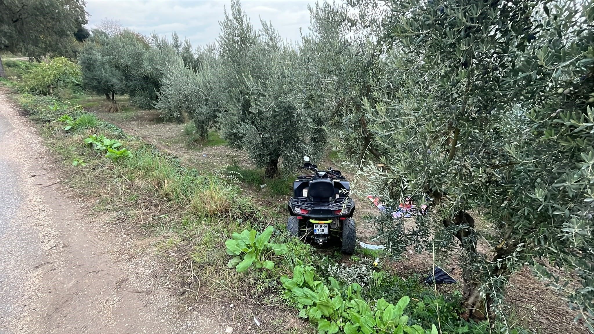 A W809612 02