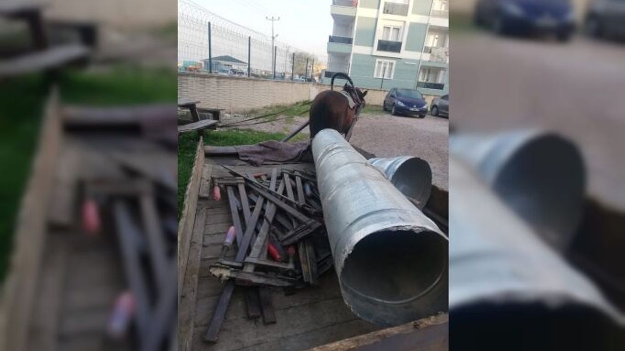Bekçiler hırsızlık yapan zanlıyı suçüstü yakaladı