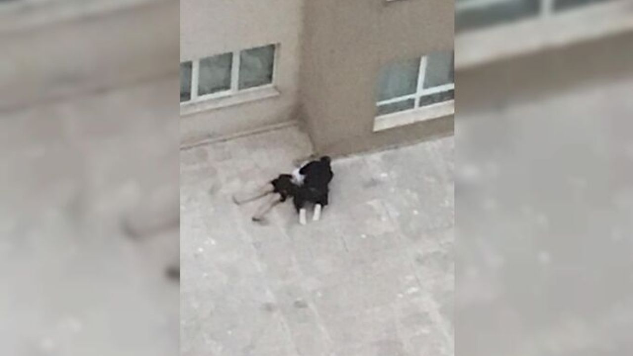 Doğanbey Toki'de... "Düşmedim, biri beni itti"