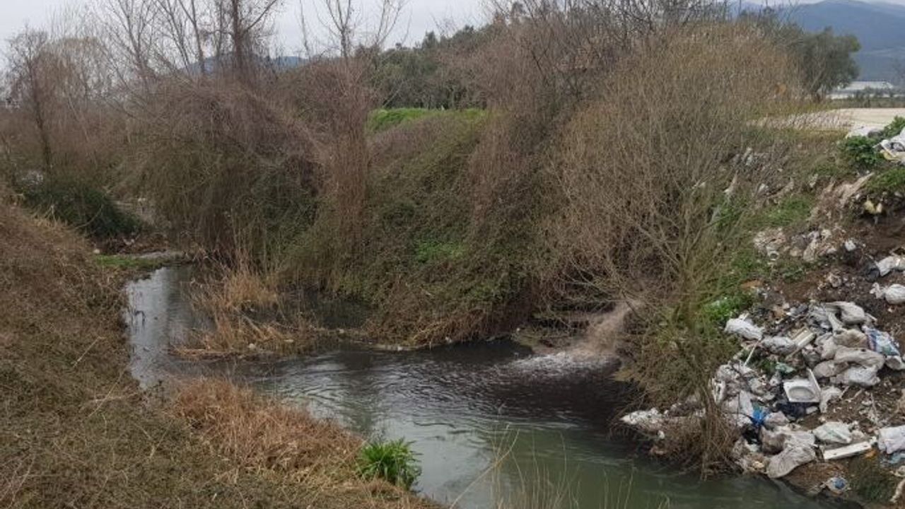 Gemlik Körfezi'ne pislik akıyor, vatandaşlar isyan etti!
