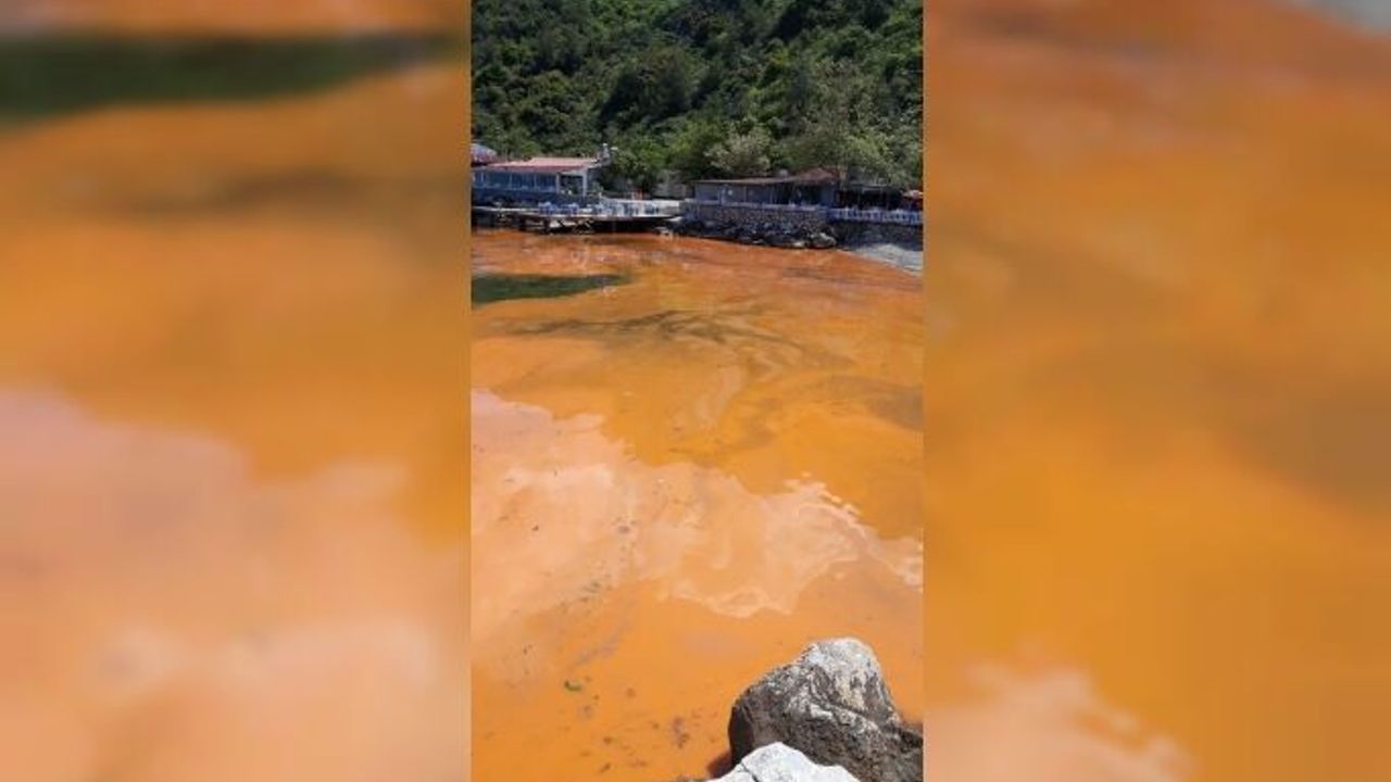 Mudanya'da denizin rengi değişti. Büyükşehir'den açıklama geldi