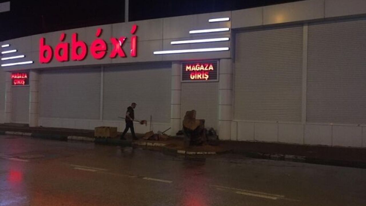 Yüz yıllık çınar ağacını gece operasyonuyla ortadan kaldırdılar