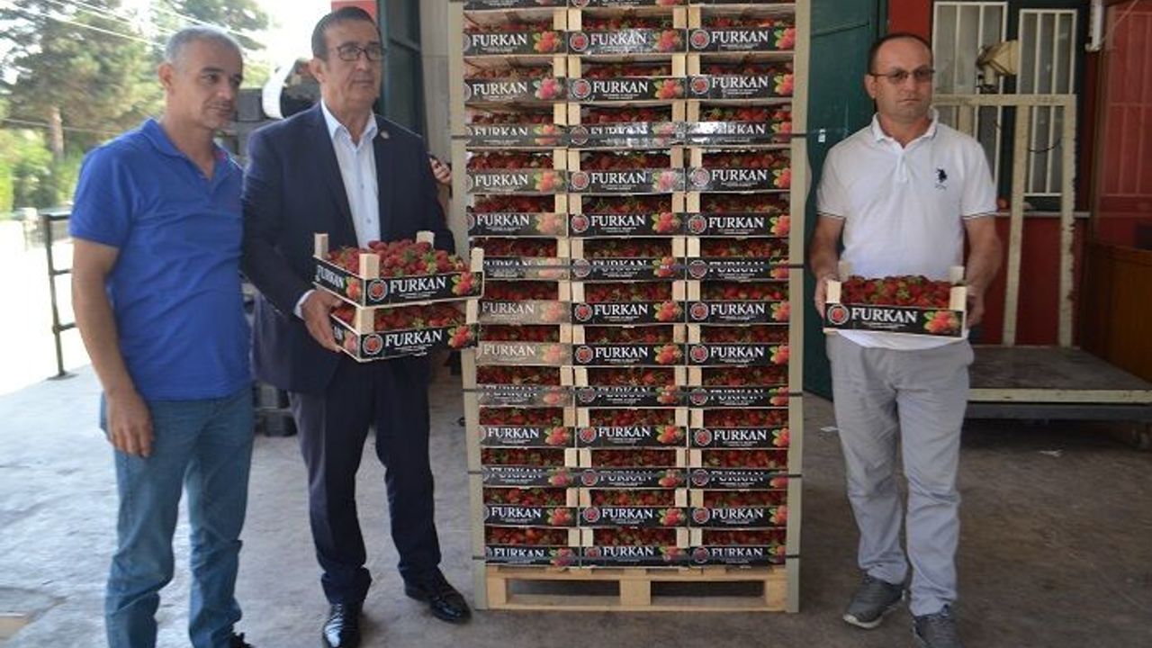 İnegöl'de ilk kez 'kırmızı elmas' ihracatı yapıldı