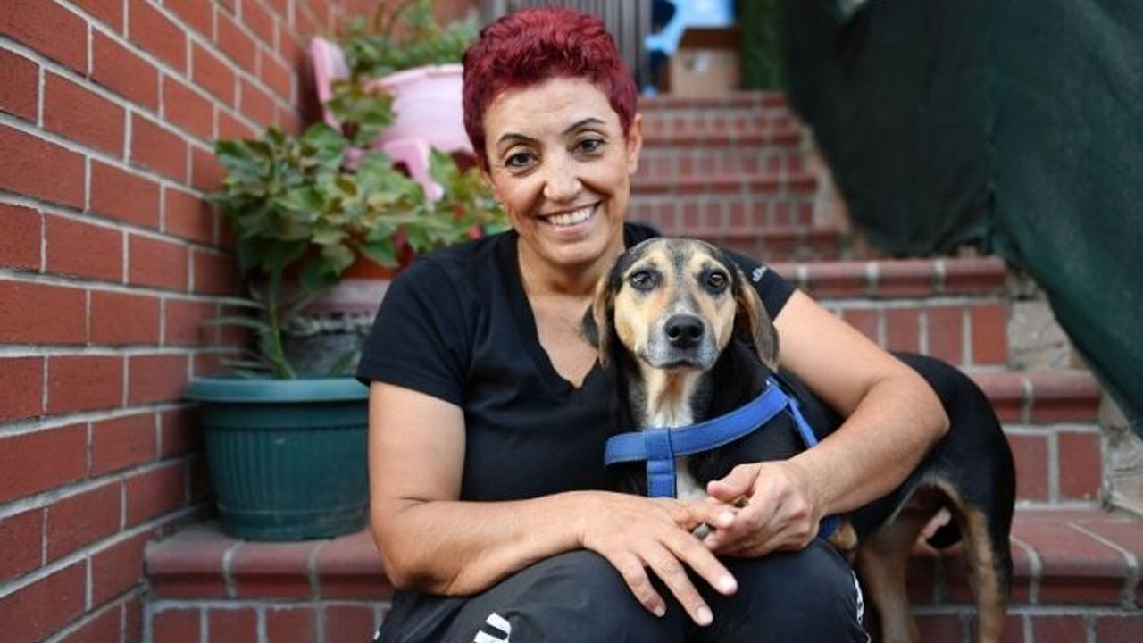 Kanserli köpek hem sağlığına hem yuvaya kavuştu