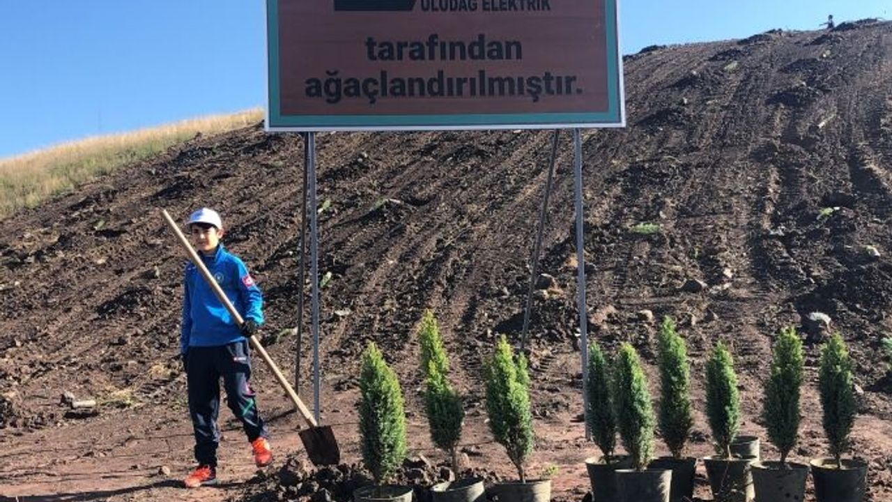 Limak'ın Yeşil Dönüşüm Ormanları şimdi de Bursa'da kök salacak