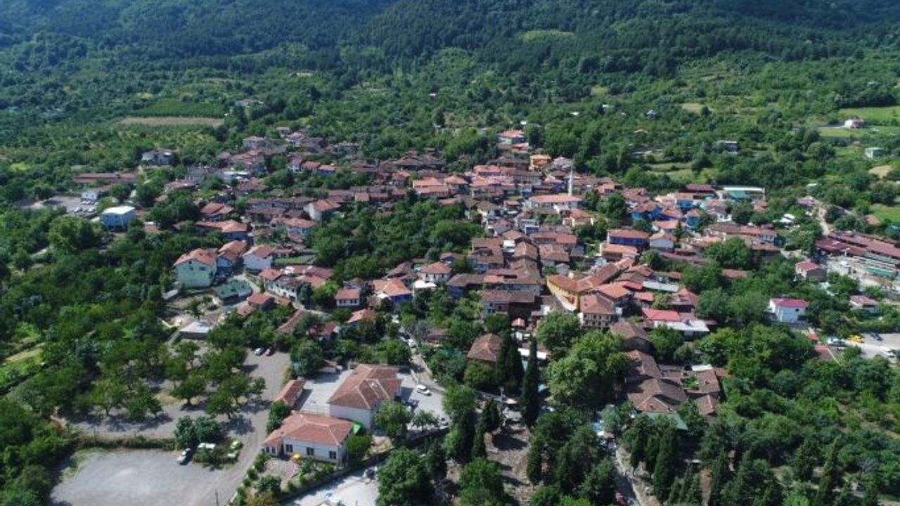 UNESCO Dünya Mirası Listesindeki Cumalıkızık’ta kırmızı alarm