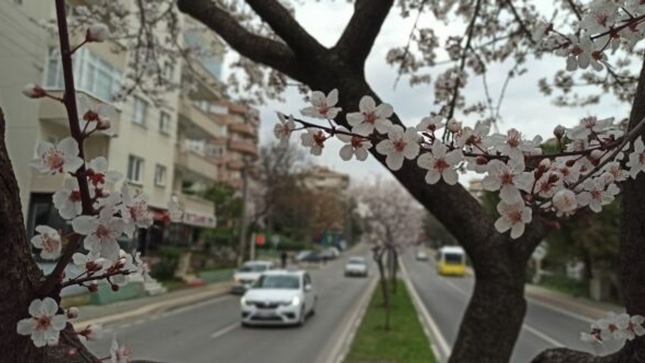 Çiçek açan erik ve bademler Bursa'ya baharı getirdi