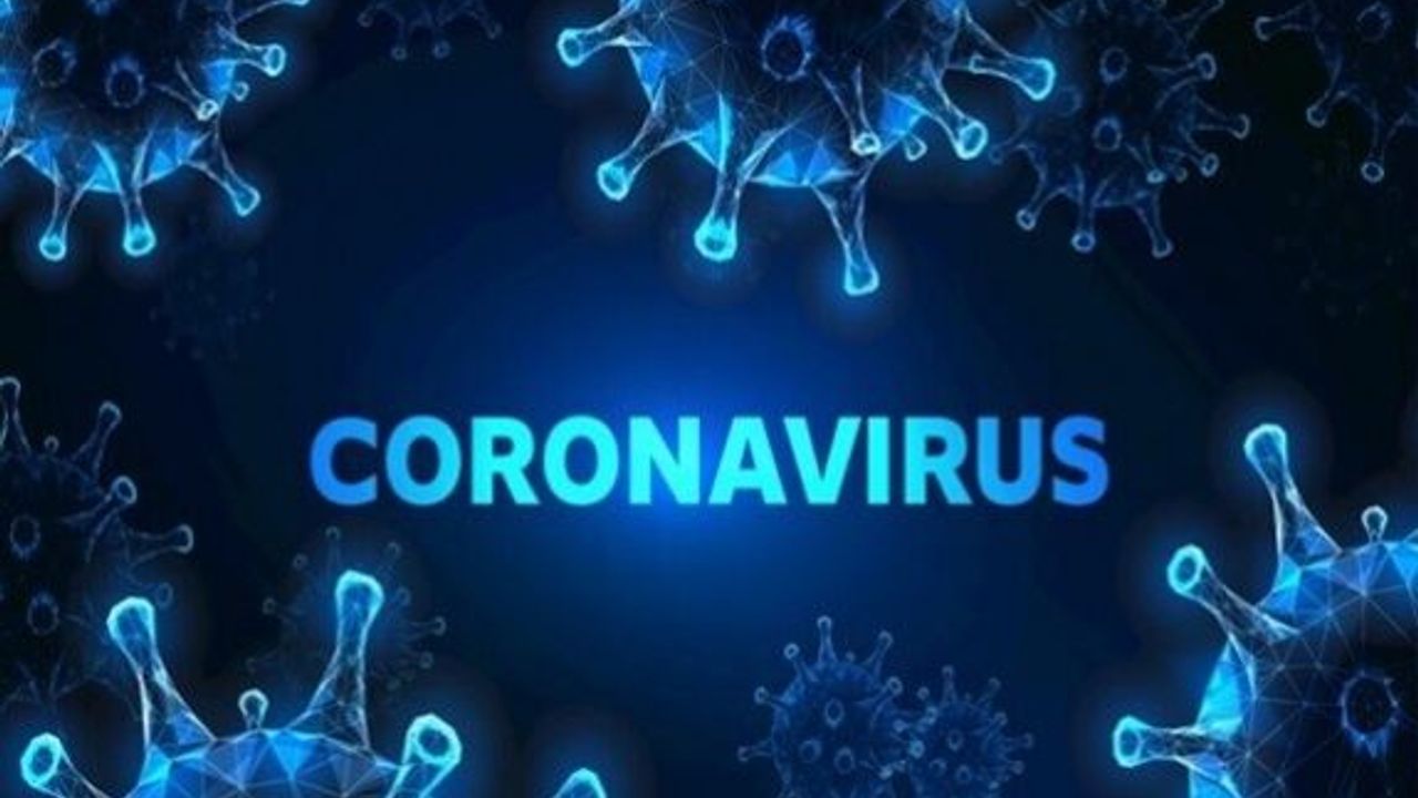 BURSA'DA SARS VE COV-2'YE KARŞI SOLÜSYON GELİŞTİRİLDİ