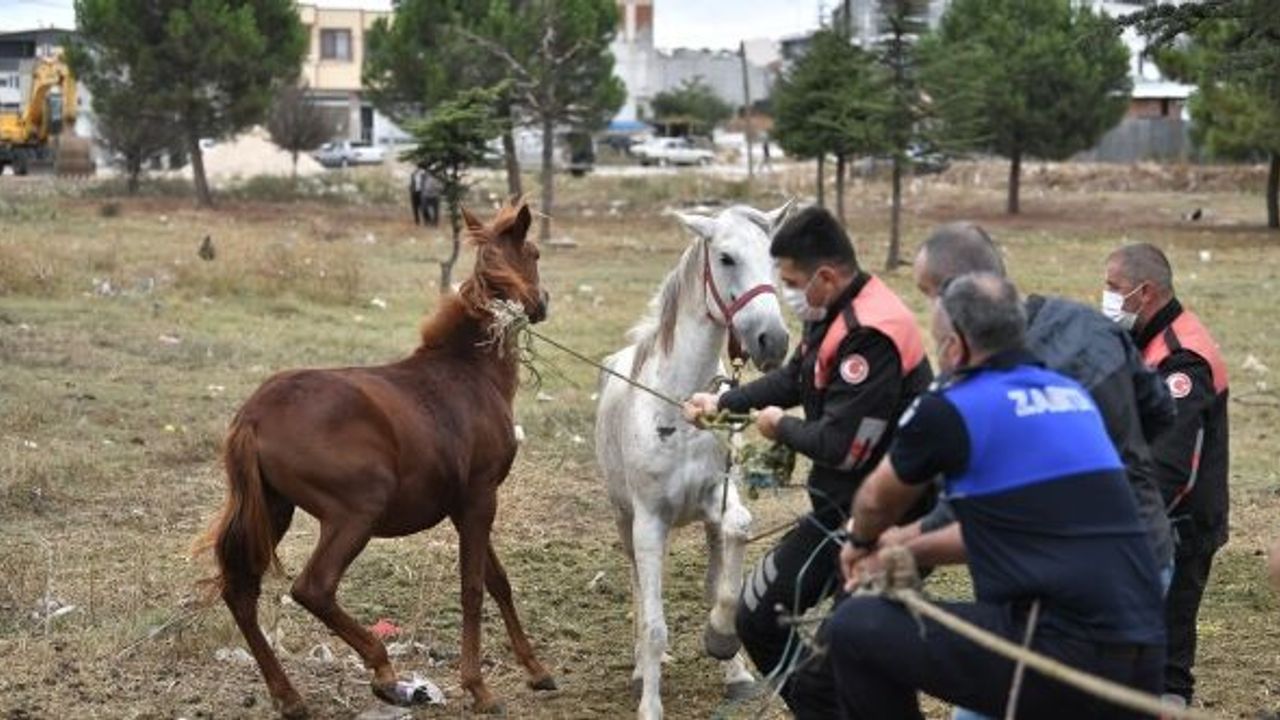 ZABITADAN NEFES KESEN BAŞI BOŞ AT OPERASYONU