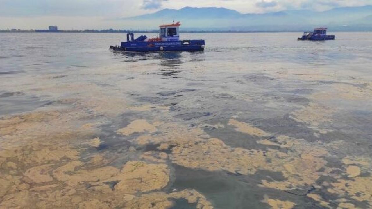 BURSA'DA YENİDEN GÖRÜLDÜ: "MÜSİLAJ BU ŞEKİLDE ASLA BİTMEYECEK"