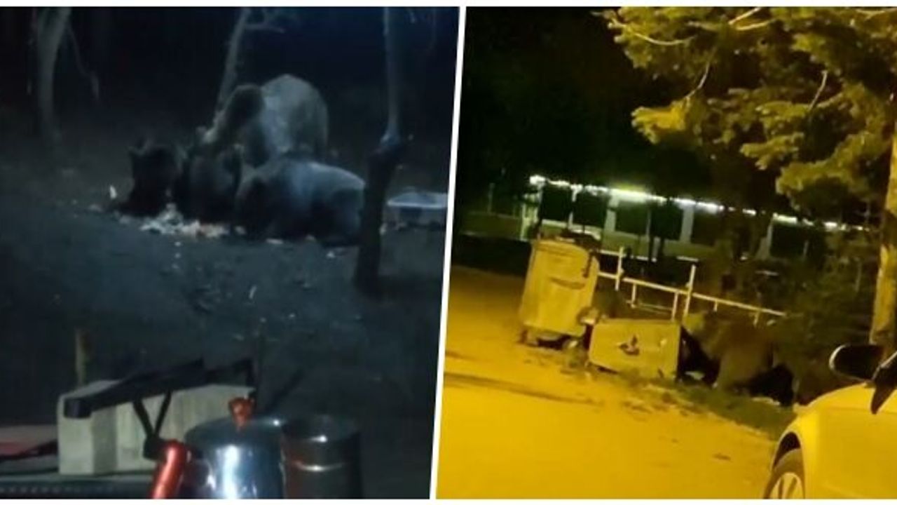 AYILAR ULUDAĞ'DA KAMP ALANINI BASTI