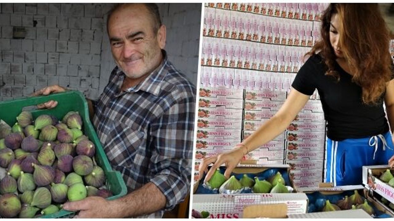BURSA SİYAHININ DÜNYA YOLCULUĞU BAŞLADI... Kayıp büyük...