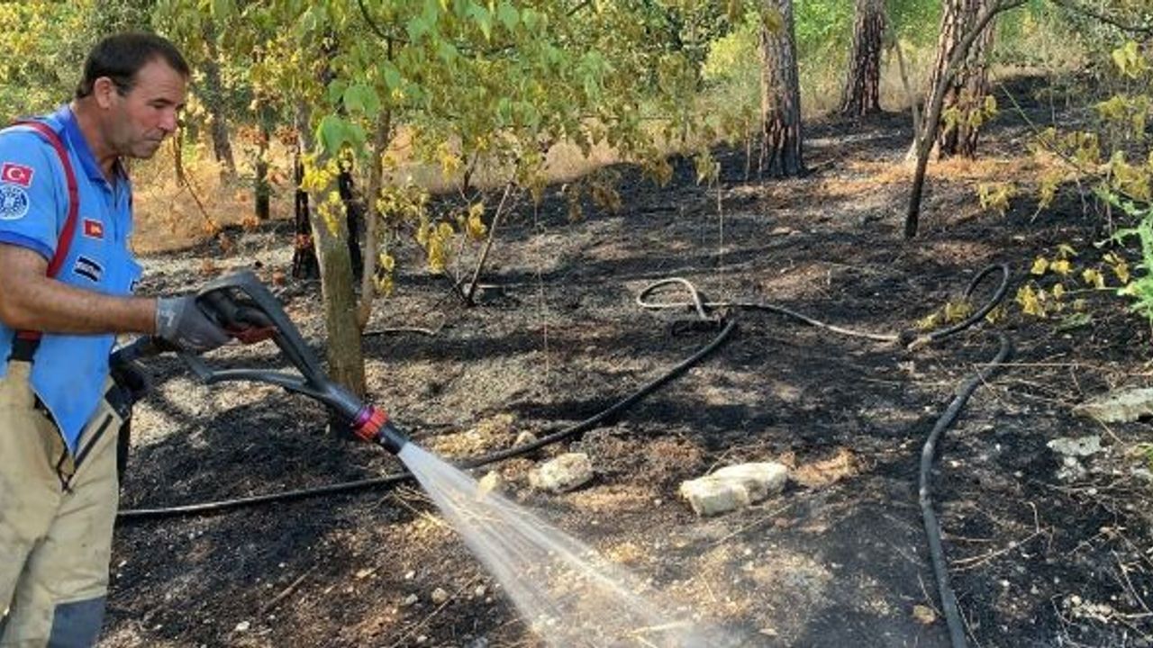 MUSTAFAKEMALPAŞA'DA ORMAN YANGINI ÇIKTI
