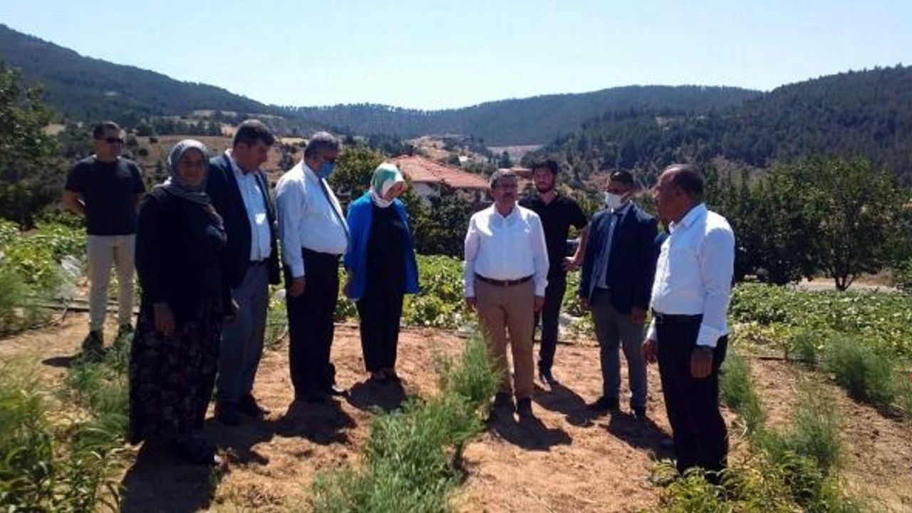 ORHANELİ'DE KÖYLÜLERE TUZAK DAĞITILDI... İşte nedeni