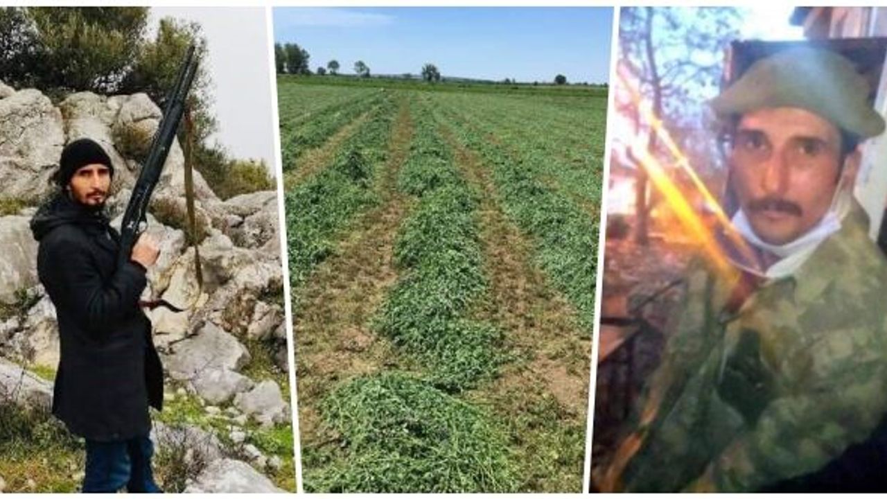 AKRABALARIN TARLA MESELESİNDE KAN AKTI: 1 AĞIR 3 YARALI