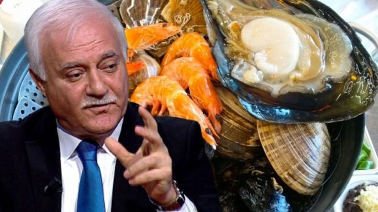 NİHAT HATİPOĞLU NOKTAYI KOYDU, "HARAM DEĞİL"
