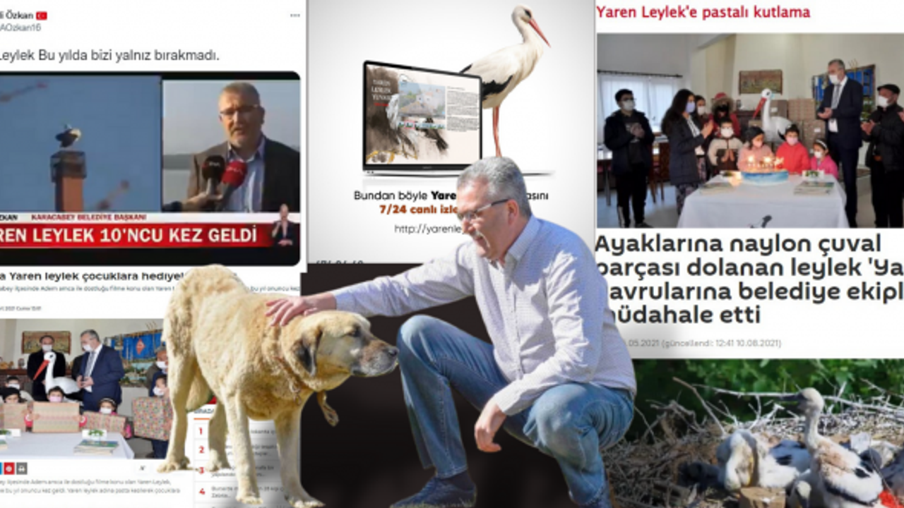 KARACABEY'DE YAREN LEYLEK GİTTİ, BELEDİYENİN HAYVAN SEVGİSİ BİTTİ