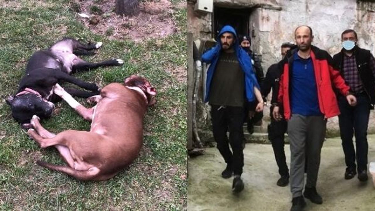 BURSA'DA DEHŞET: Başlarına ateş ederek öldürdüler