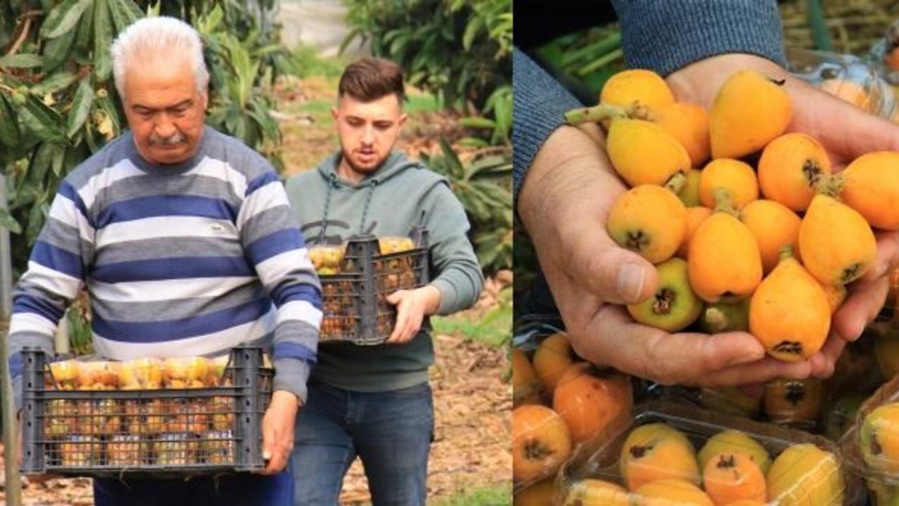 TÜRKİYE'DE İLK: KİLOSU 200 LİRADAN ALICI BULUYOR