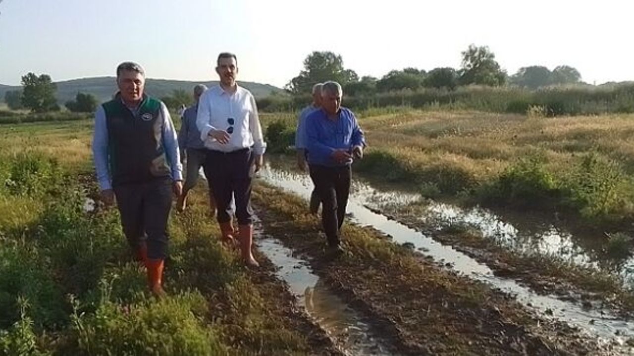BURSA'DA TARIM ARAZİLERİ SELDEN ZARAR GÖRDÜ