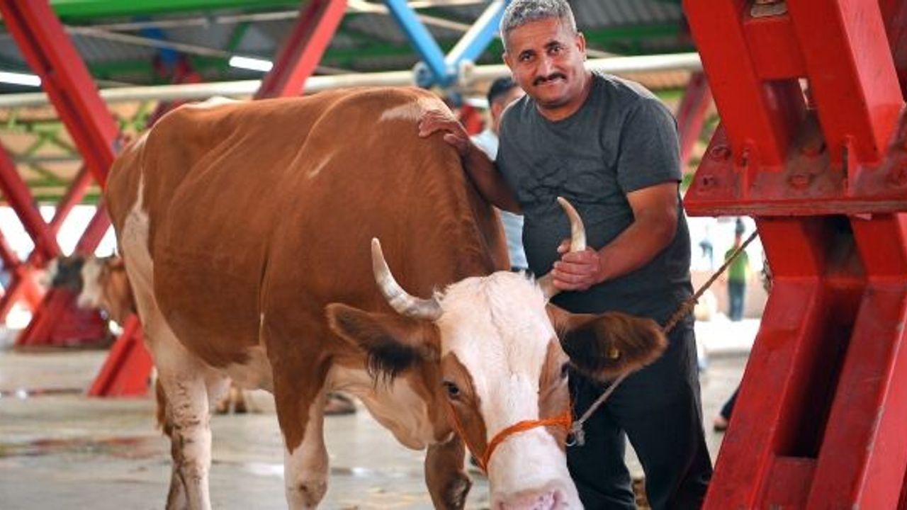 OSMANGAZİ’DE VATANDAŞLAR HİJYENİK ORTAMDA KURBANLARINI KESTİ