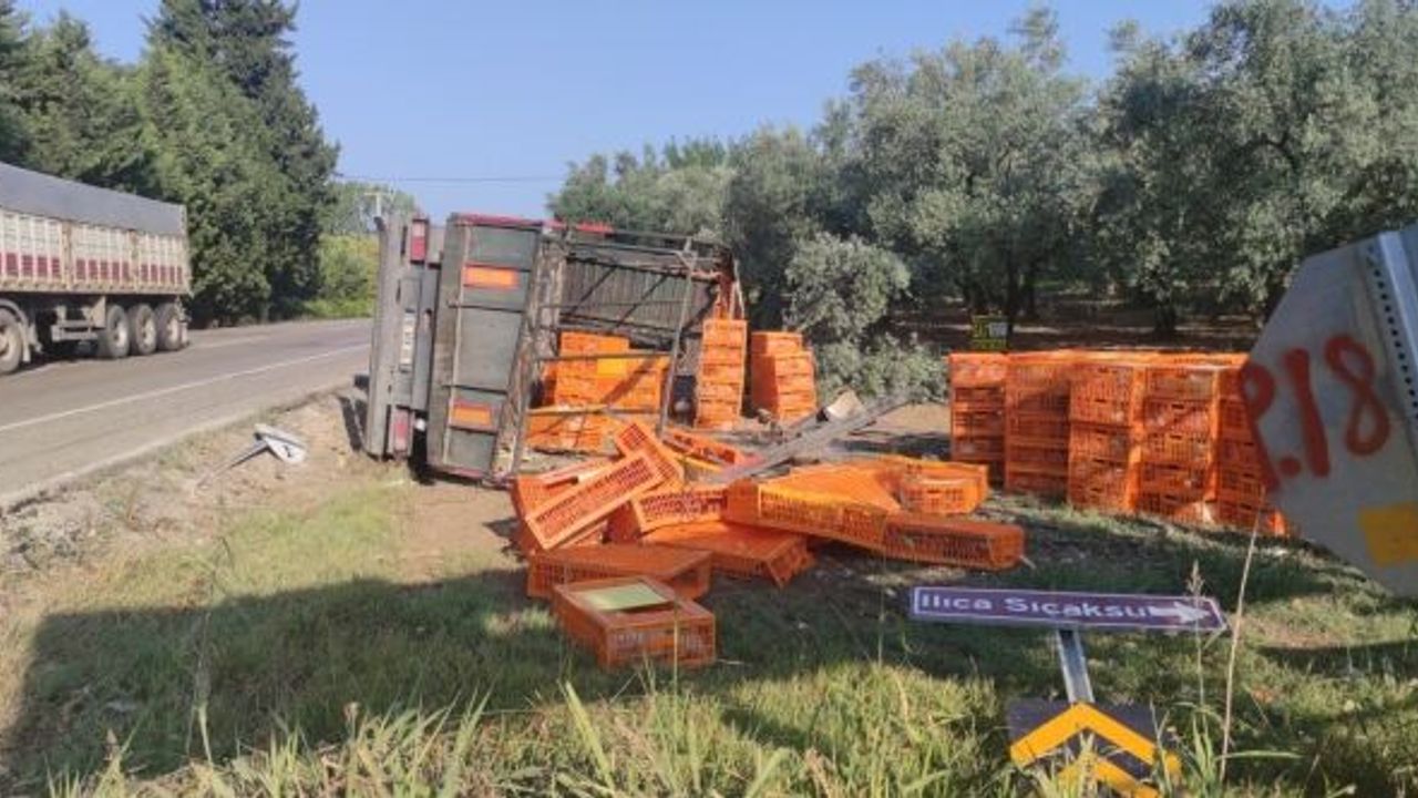 BURSA'DA CANLI TAVUK YÜKLÜ TIR DEVRİLDİ