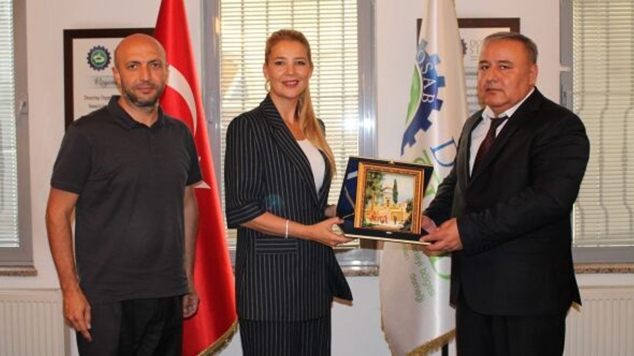 ÇEVİKEL, "ENERJİ MALİYETLERİNİN DÜŞÜK OLMASI YATIRIM İÇİN FIRSAT"