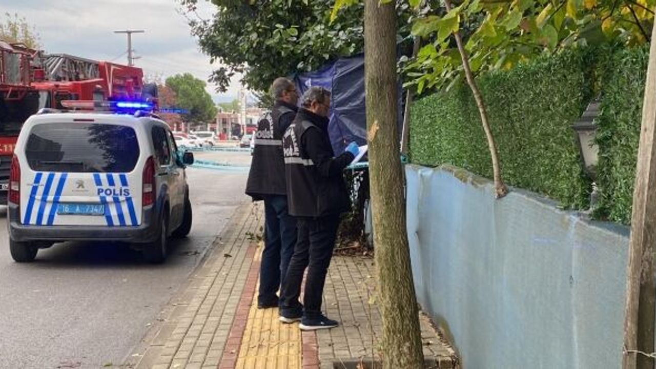 YOL KENARINDA AYVA TOPLADIĞI AĞAÇTA ÖLDÜ