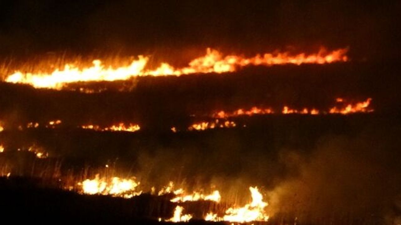 KUŞ CENNETİ 4 GÜNDÜR ALEV ALEV YANIYOR