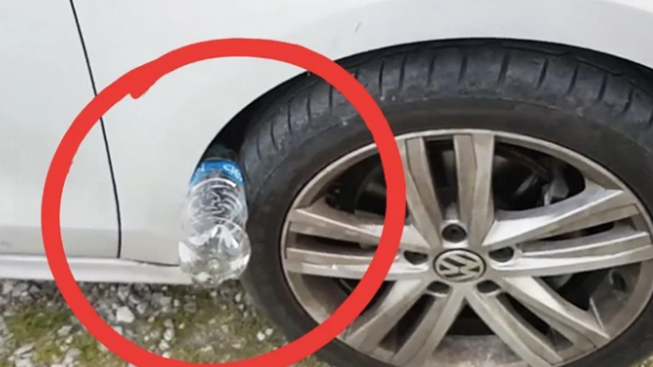 ARACINIZA PET ŞİŞE SIKIŞMIŞŞSA BAŞINIZ DERTTE