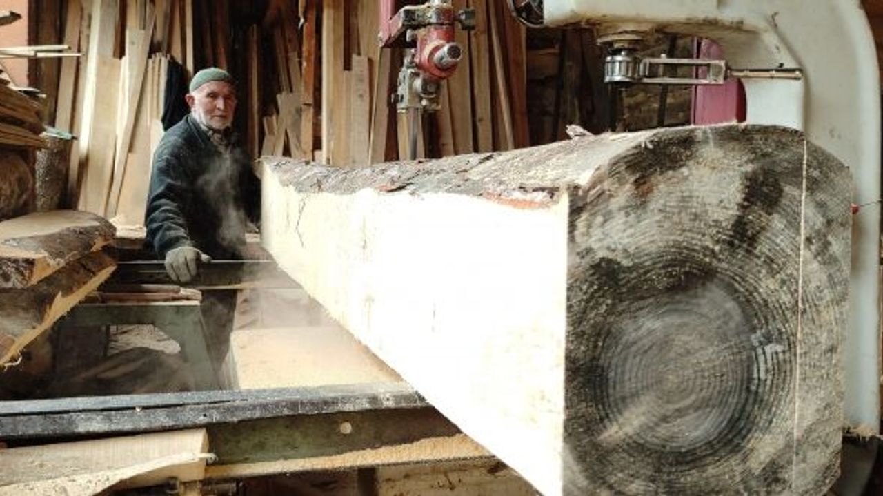 İLERLEMİŞ YAŞINA RAĞMEN YARIM TONLUK TOMRUKLARI KERESTEYE DÖNÜŞTÜRÜYOR