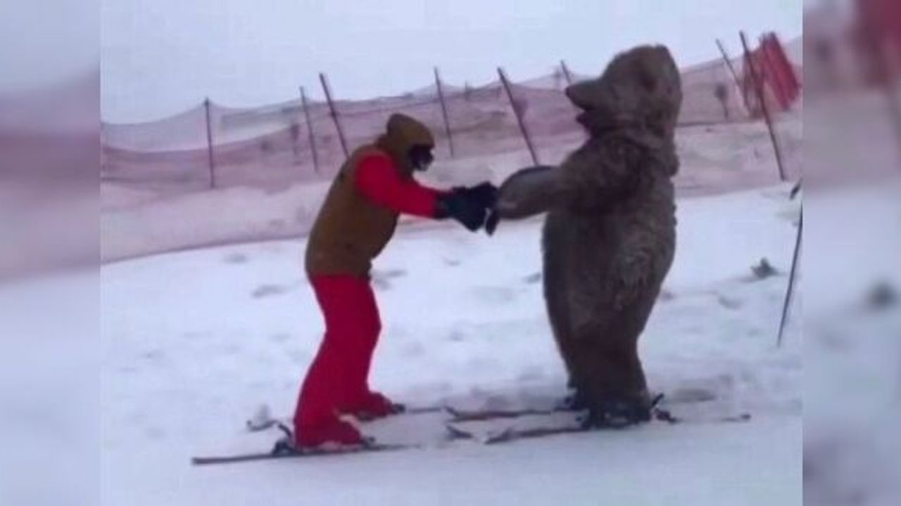 AYI VE PENGUEN KOSTÜMÜ GİYİP ULUDAĞDA KAYDILAR
