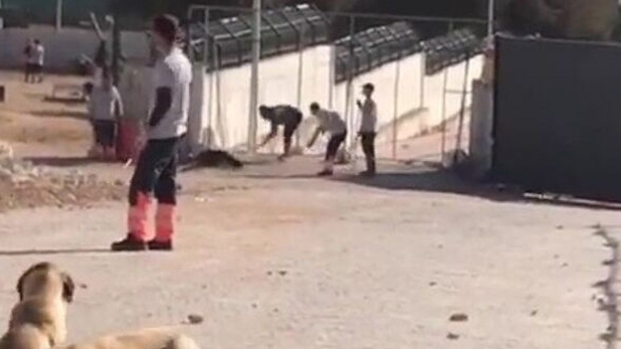 BAŞINA VURA VURA KATLETMİŞLERDİ: Tahliye edildiler