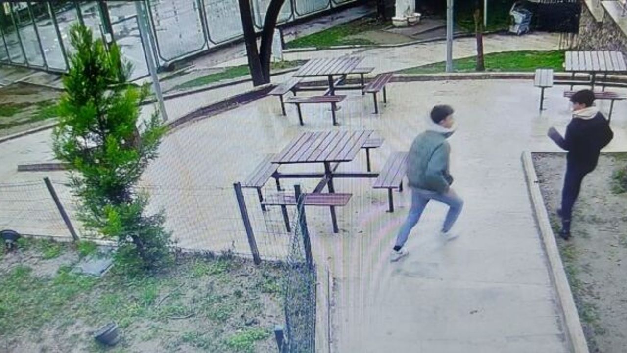 BURSA'DA PARKTA KEDİ KULÜBELERİNİ YAKTILAR
