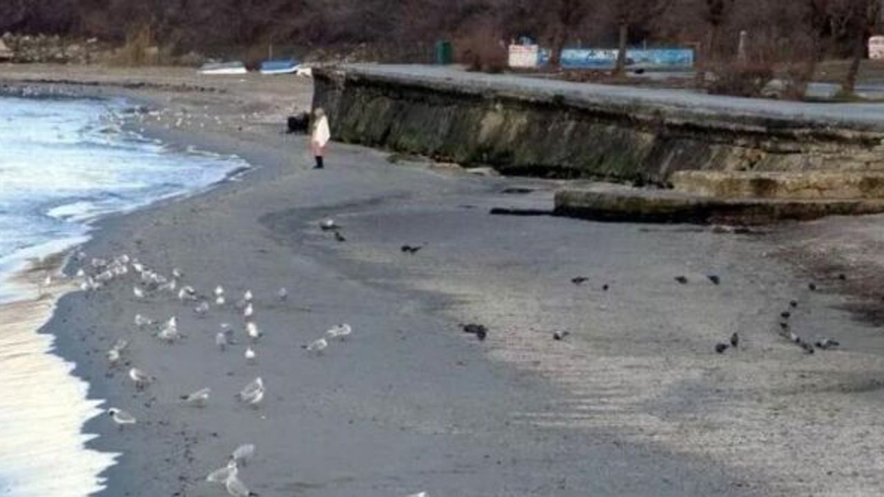 İSTANBUL'DA DENİZ ÇEKİLDİ! Tedirgin eden görüntü