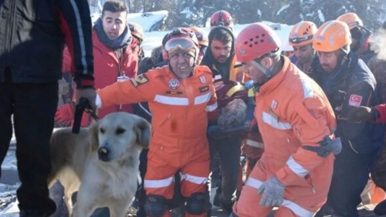 KÖPÜK YERİNİ BULDU, 77 SAAT SONRA KURTARILDI