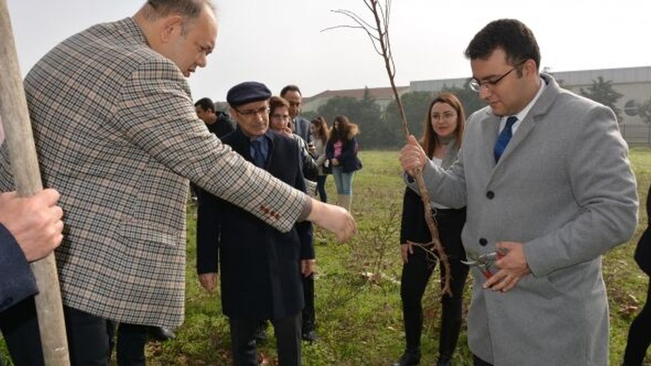 KARACABEY MYO DEPREMDE HAYATINI KAYBEDENLER ANISINA FİDAN DİKTİ