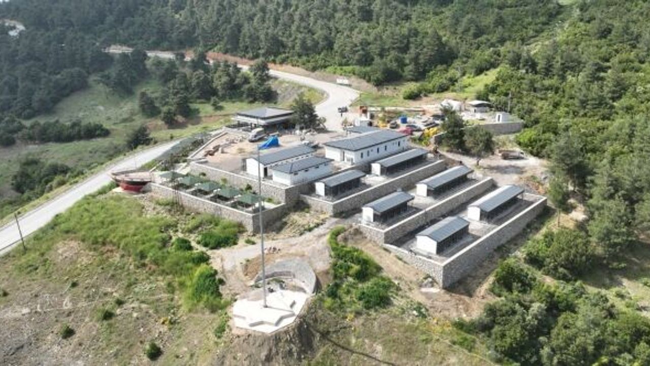 ÖDÜLLÜ HAYVAN BARINAĞINDA SONA GELİNİYOR