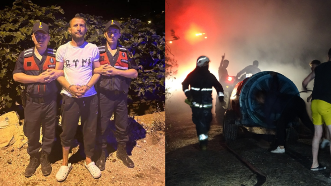 BURSA'DA ORMANLIK ALANI YAKAN ŞAHIS TUTUKLANDI